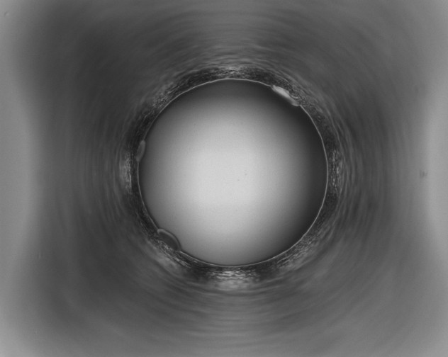 X0000116570562200912171506