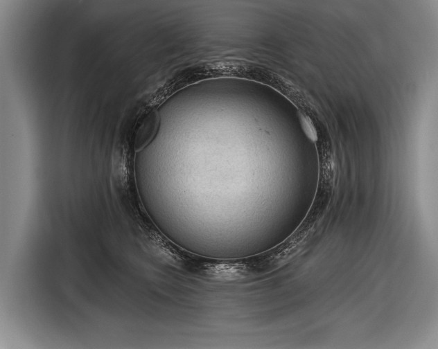 X0000116570566200912171506