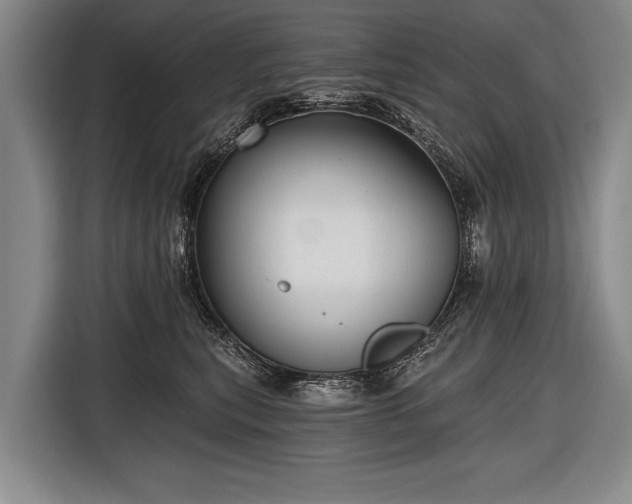 X0000116570567200912171506