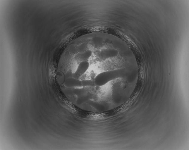 X0000116570569200912171506