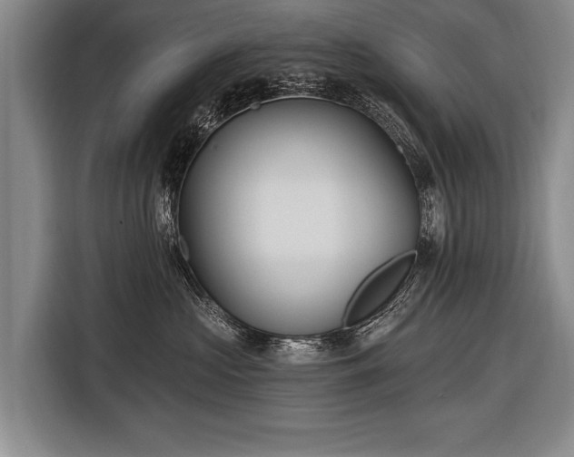 X0000116570573200912171506