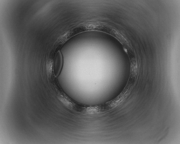 X0000116570574200912171506