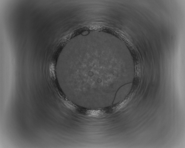 X0000116570575200912171506