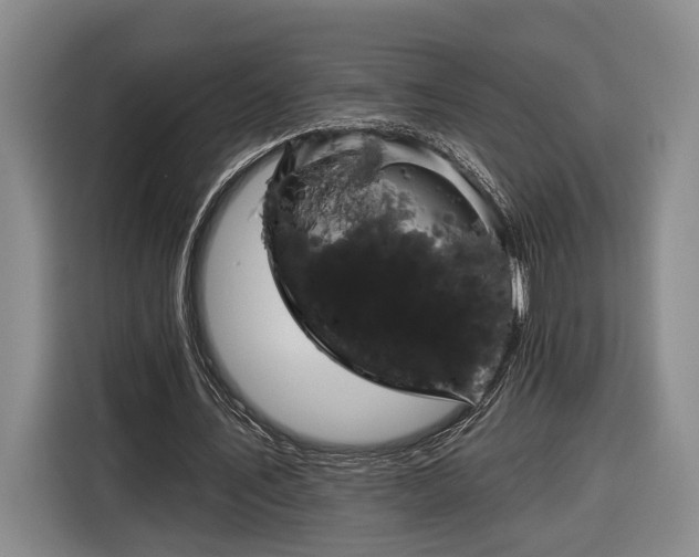 X0000116570579200912171505