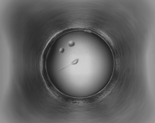 X0000116570580200912171505