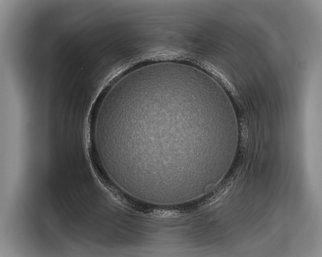 X0000116570582200912171505