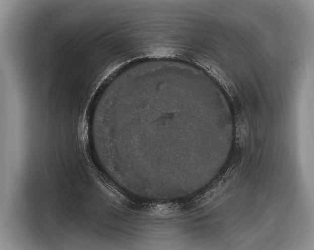 X0000116570584200912171505