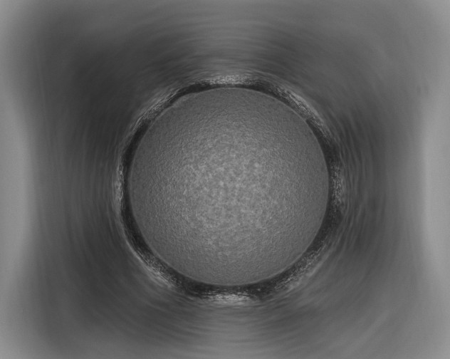 X0000116570586200912171505