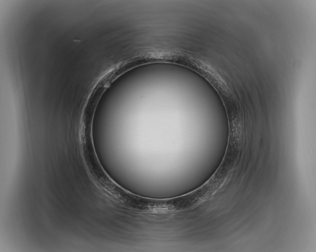 X0000116570587200912171505