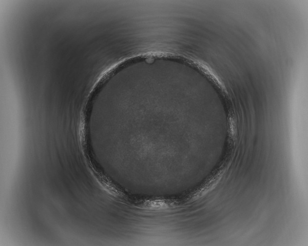 X0000116570588200912171505