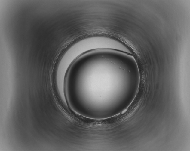 X0000116570589200912171505