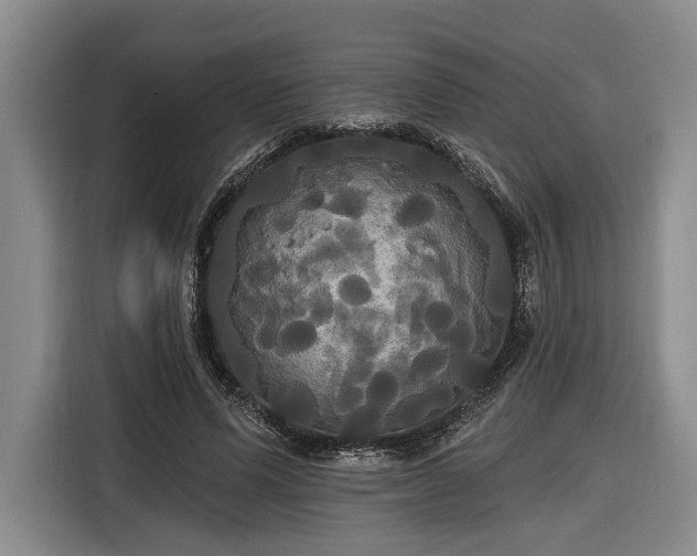 X0000116570591200912171505