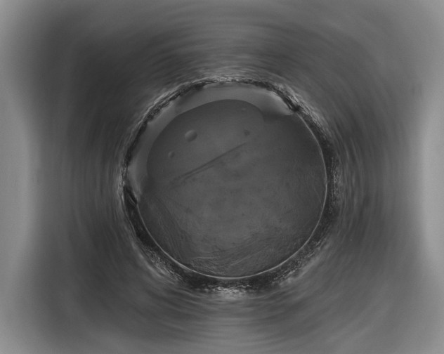 X0000116570592200912171505