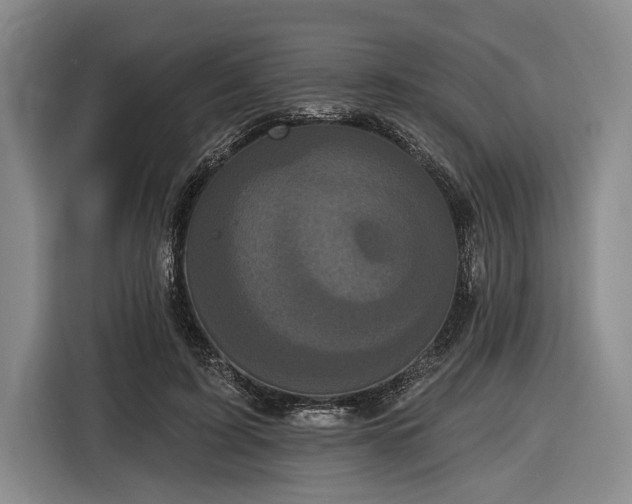 X0000116570595200912171505