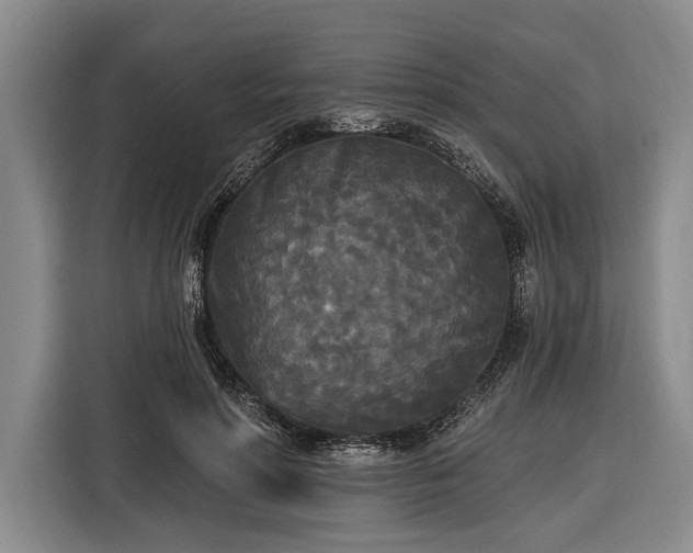 X0000116570598200912171505