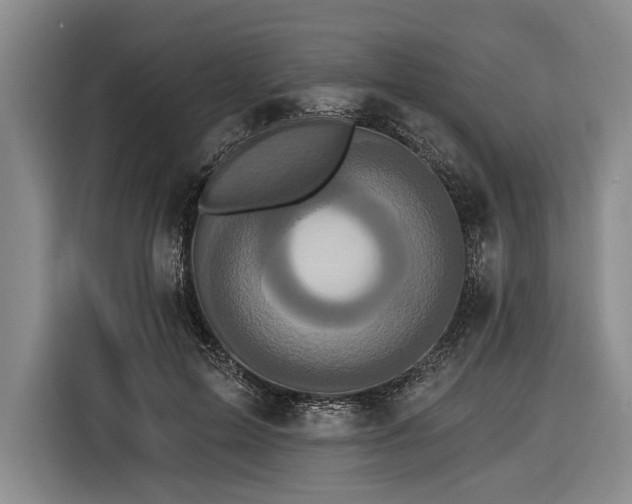 X0000116570599200912171505