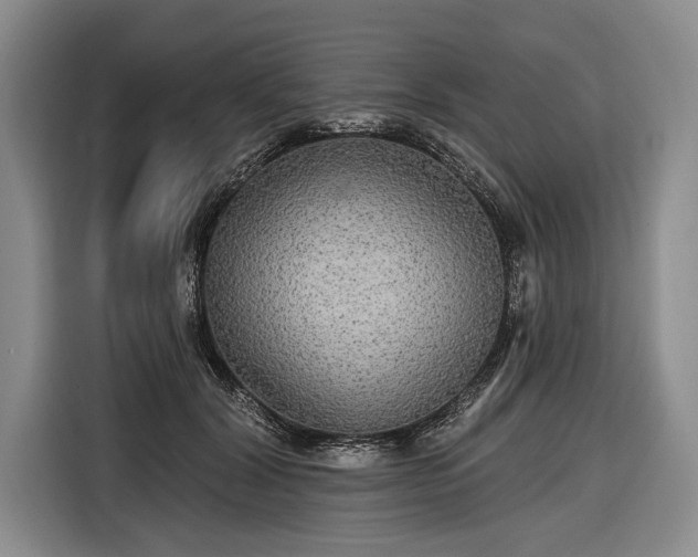 X0000116570604200912171505