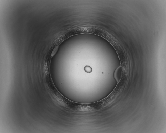 X0000116570605200912171505