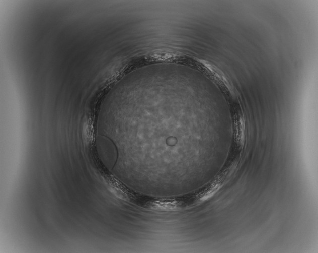 X0000116570606200912171505