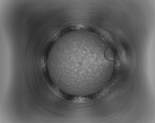 X0000116570607200912171505