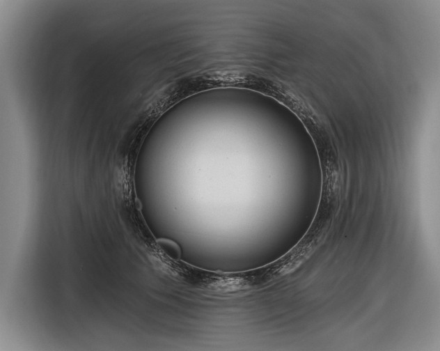 X0000116570609200912171505