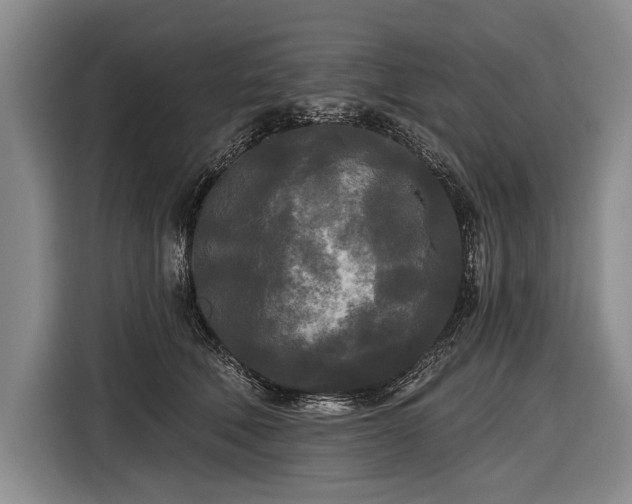 X0000116570610200912171505