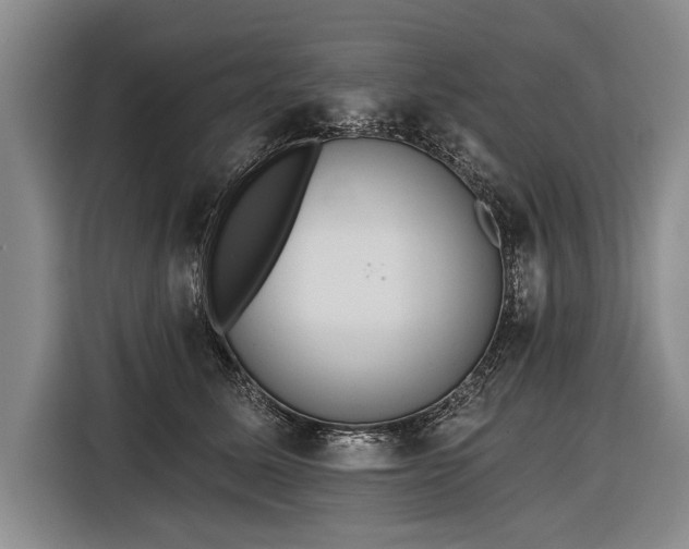 X0000116570611200912171505