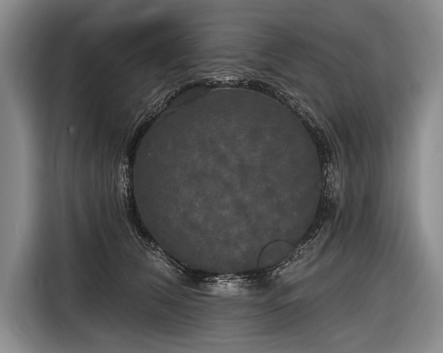 X0000116570612200912171505