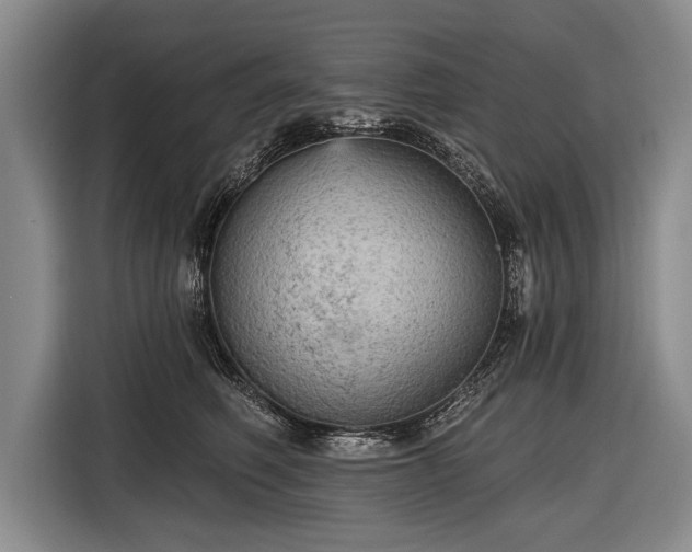 X0000116570614200912171505