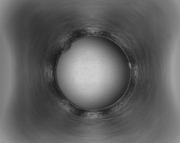 X0000116570615200912171505