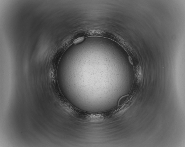 X0000116570619200912171505