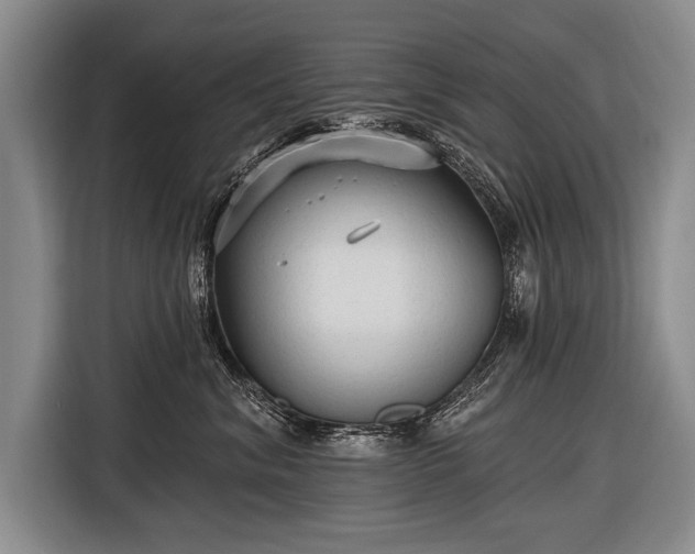 X0000116570620200912171505