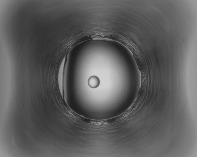 X0000116570621200912171505