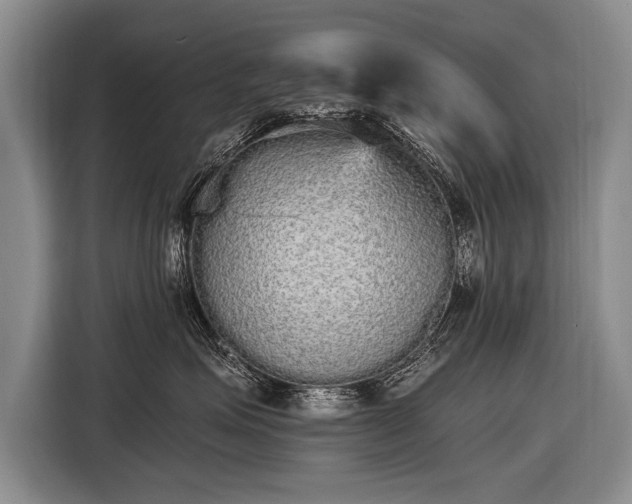 X0000116570623200912171505