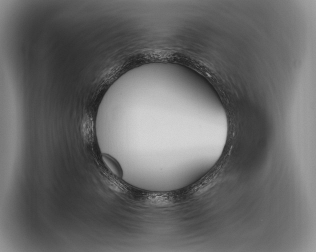 X0000116570624200912171505