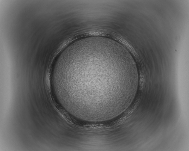 X0000116570626200912171504