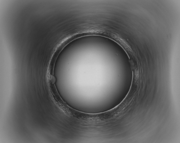 X0000116570628200912171504