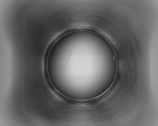 X0000116570629200912171504