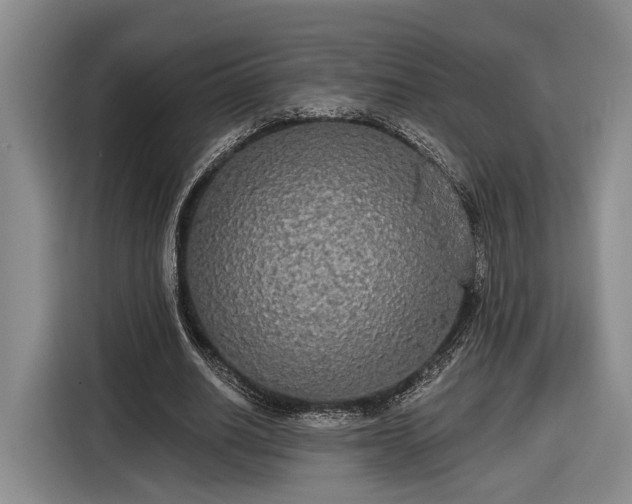 X0000116570630200912171504