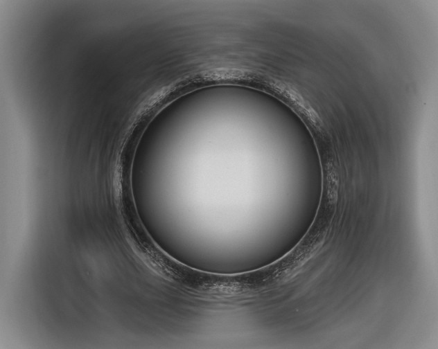 X0000116570631200912171504