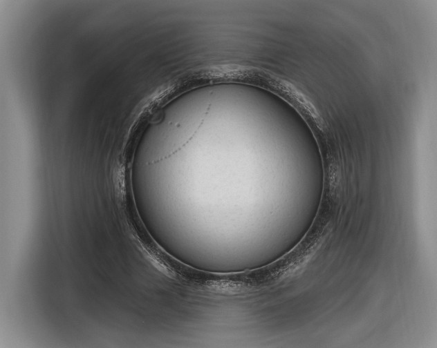 X0000116570633200912171504