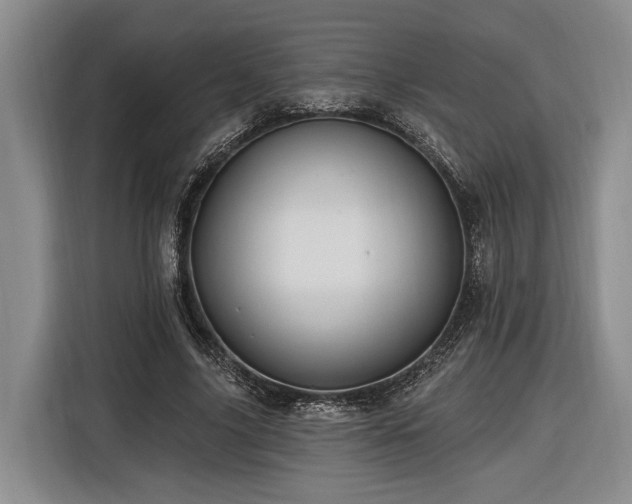 X0000116570635200912171504