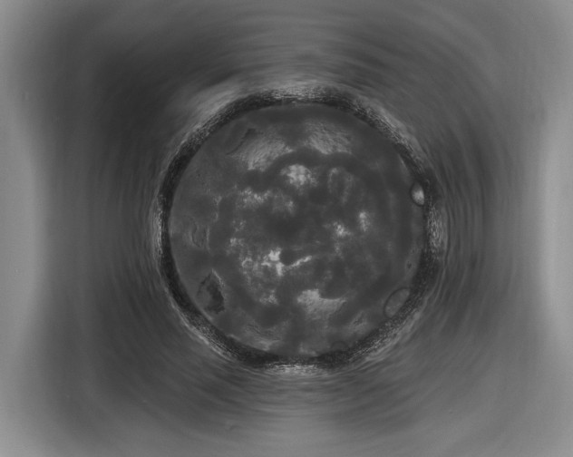 X0000116570637200912171504