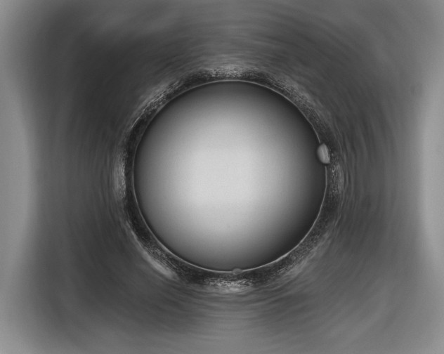 X0000116570638200912171504