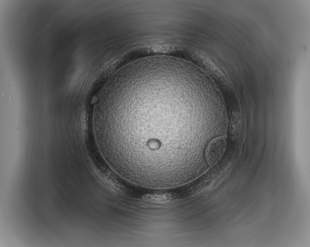 X0000116570639200912171504