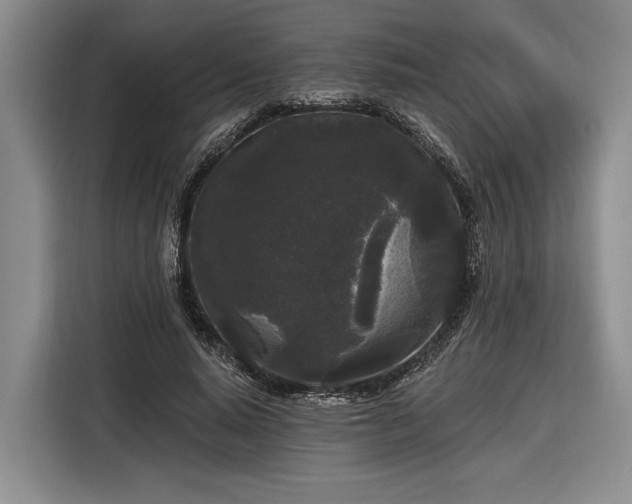 X0000116570640200912171504