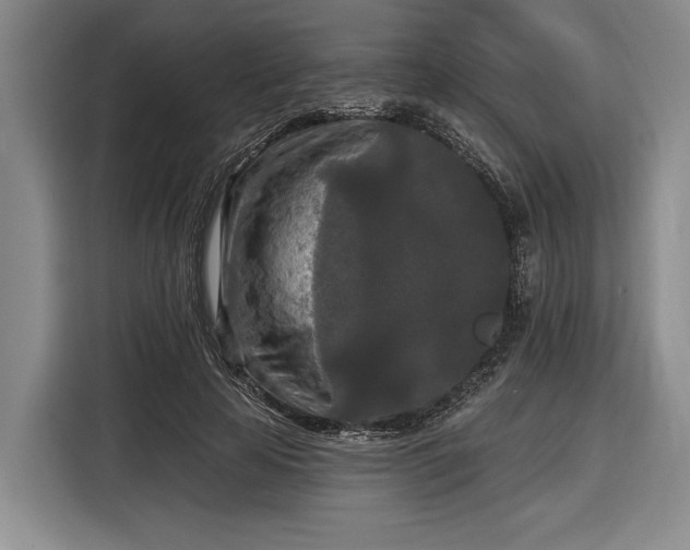 X0000116570641200912171504