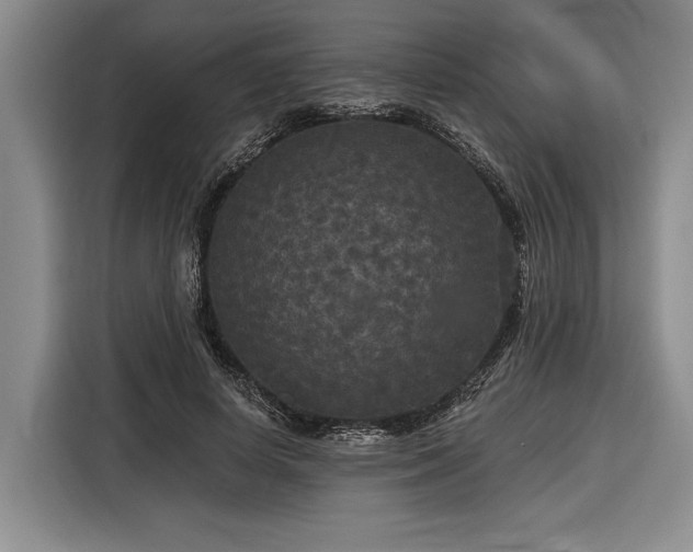 X0000116570642200912171504