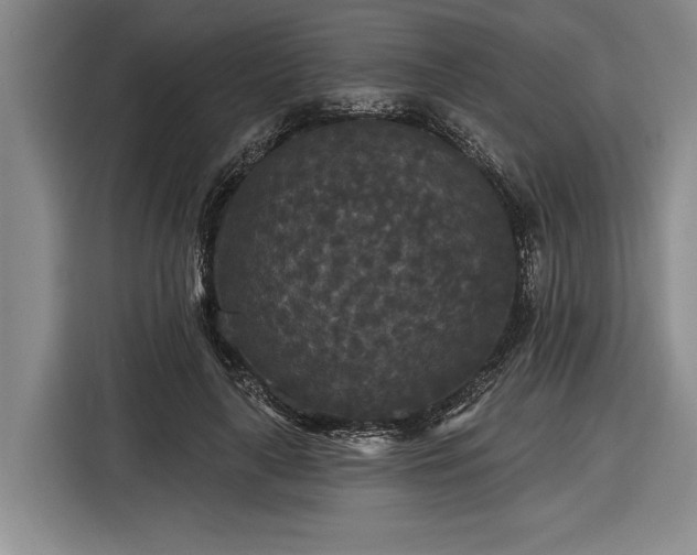 X0000116570643200912171504