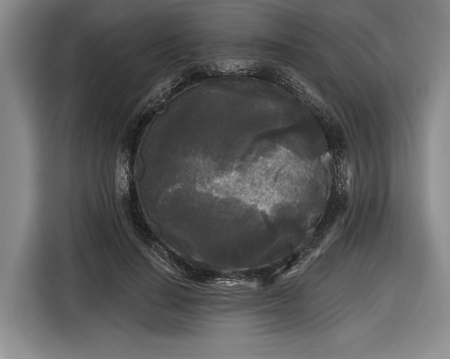 X0000116570644200912171504